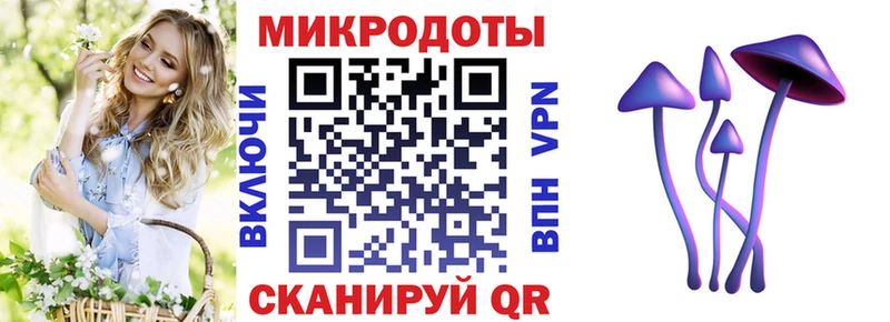 Галлюциногенные грибы MAGIC MUSHROOMS  Гвардейск 