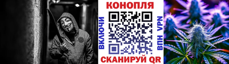 что такое наркотик Гвардейск Конопля гибрид